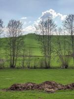Ligne Maginot - THONNE LE THIL - (Casemate d'infanterie - Double) - Défilement de la casemate
Seules les cloches permettent d'identifier la présence d'un ouvrage.