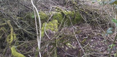 Ligne Maginot - GUEBENHOUSE 3 - (Blockhaus pour arme infanterie) - 