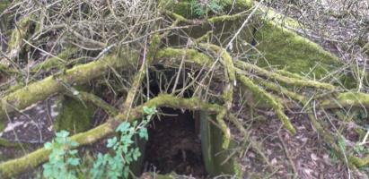 Ligne Maginot - GUEBENHOUSE 3 - (Blockhaus pour arme infanterie) - L'entrée