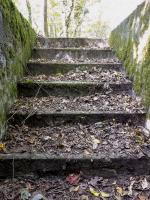 Ligne Maginot - BONHOUSE - (Abri) - 