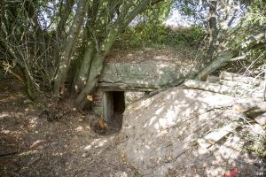 Ligne Maginot - FURSTENWEG - (PC) - 