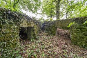Ligne Maginot - ROUTE DE L'HIMERTEN SUD - (Blockhaus pour arme infanterie) - 