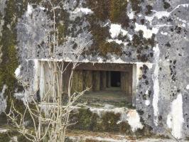 Ligne Maginot - WAELDSCHEN 1 - (Blockhaus pour arme infanterie) - L'embrasure pour mitrailleuse