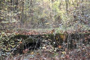 Ligne Maginot - TETING CAMP - (Camp de sureté) - Soubassement de bâtiment dans les broussailles.