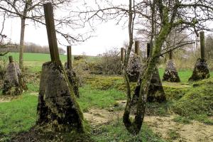 Ligne Maginot - BIEF DU NONNENWALD - (Inondation défensive) -    