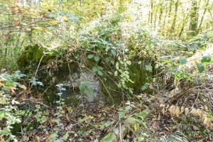 Ligne Maginot - HENRIVILLE 1 (AVANT POSTE) - (Blockhaus pour arme infanterie) -  