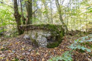 Ligne Maginot - HENRIVILLE 4 (AVANT POSTE) - (Blockhaus pour arme infanterie) - 