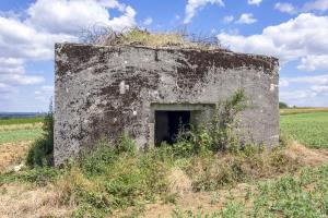 Ligne Maginot - HINTER STEINWEG 2 - (Blockhaus pour canon) - 