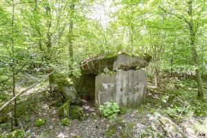 Ligne Maginot - LANING 5 - (Blockhaus de type indeterminé) - 