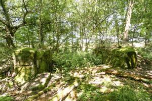 Ligne Maginot - LANING 5BIS - (Cuve pour canon) -      
