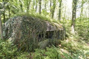 Ligne Maginot - LANING 6 - (Blockhaus pour arme infanterie) - 