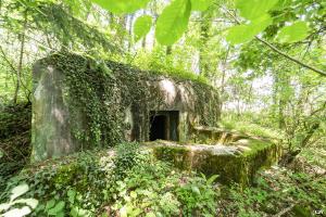 Ligne Maginot - LANING 6 - (Blockhaus pour arme infanterie) - L'entrée et la parapet