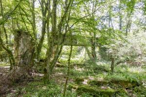 Ligne Maginot - LIXING - (Stand de tir) - Le pare balles