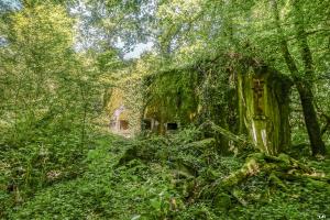 Ligne Maginot - LIXING - (Stand de tir) - Le bâtiment 'pas de tir'