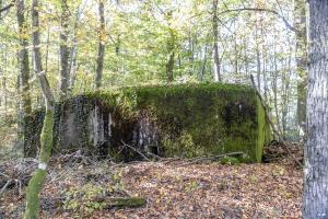Ligne Maginot - M5B - HENRIVILLE 2 (AVANT POSTE) - (Blockhaus pour arme infanterie) - 