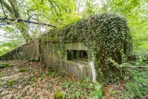 Ligne Maginot - M65B - BOIS DE BRILL 1 - (Blockhaus pour arme infanterie) -                   