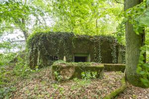 Ligne Maginot - M65B - BOIS DE BRILL 1 - (Blockhaus pour arme infanterie) - L'entrée                   
