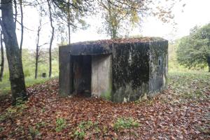 Ligne Maginot - MARIENTHAL 2 (AVANT POSTE) - (Blockhaus pour arme infanterie) -            