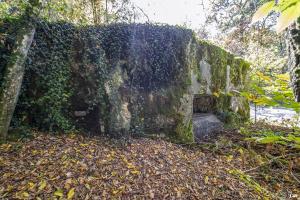 Ligne Maginot - MC1B - HENRIVILLE 3 (AVANT POSTE) - (Blockhaus pour canon) - 