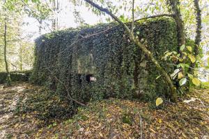 Ligne Maginot - MC1B - HENRIVILLE 3 (AVANT POSTE) - (Blockhaus pour canon) - 