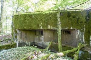 Ligne Maginot - MC08 - STG P - (Blockhaus pour canon) - 