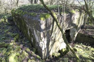 Ligne Maginot - MISTBERG 2 - (Blockhaus pour arme infanterie) - 
