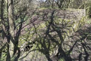 Ligne Maginot - MISTBERG 5 - (Blockhaus de type indéterminé) - 