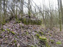 Ligne Maginot - NONNENWALD 5 - (Blockhaus de type indeterminé) - Vue extérieur
