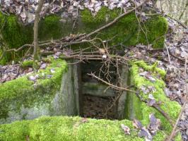 Ligne Maginot - NONNENWALD 5 - (Blockhaus de type indeterminé) -  Vue de l'entrée