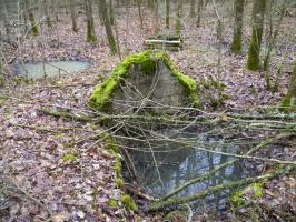Ligne Maginot - NONNENWALD 5 - (Blockhaus de type indeterminé) - Reste du petit ensemble