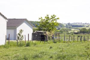 Ligne Maginot - RUISSEAU 6 - (Blockhaus pour arme infanterie) - 
