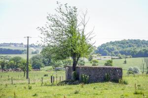 Ligne Maginot - RUISSEAU 7 - (Blockhaus de type indéterminé) - 