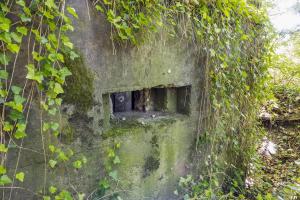 Ligne Maginot - UBERNIED 3 - (Blockhaus pour arme infanterie) - 