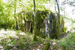 Ligne Maginot - UBERNIED 5 - (Blockhaus pour canon) - L'entrée du matériel