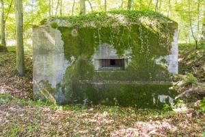 Ligne Maginot - UBERNIED 9 - (Blockhaus pour arme infanterie) - 