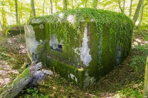 Ligne Maginot - UBERNIED 9 - (Blockhaus pour arme infanterie) - 