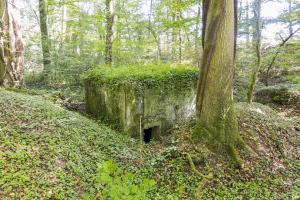 Ligne Maginot - UBERNIED 11 - (Blockhaus pour arme infanterie) - 