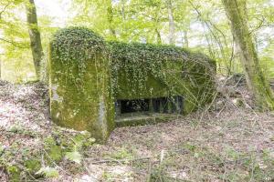 Ligne Maginot - UBERNIED 13 - (Blockhaus pour canon) - 