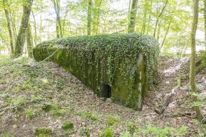Ligne Maginot - UBERNIED 13 - (Blockhaus pour canon) - 