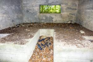 Ligne Maginot - UBERNIED 13 - (Blockhaus pour canon) - 
