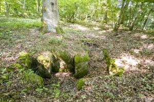 Ligne Maginot - VORDERSTERWALD 3 - (Cuve pour arme d'infanterie) - 