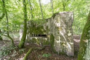 Ligne Maginot - VORDERSTERWALD 9 - (Blockhaus pour canon) - 