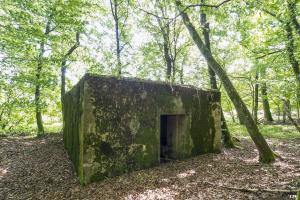 Ligne Maginot - VORDERSTERWALD 9 - (Blockhaus pour canon) - L'entrée du matériel