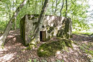 Ligne Maginot - VORDERSTERWALD 9 - (Blockhaus pour canon) - L'entrée du personnel