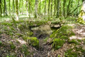 Ligne Maginot - VORDERSTERWALD 6 - (Abri) - 