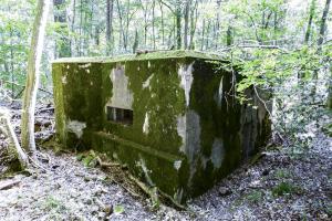 Ligne Maginot - VORDERSTERWALD 5 - (Blockhaus pour arme infanterie) - 