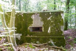 Ligne Maginot - VORDERSTERWALD 5 - (Blockhaus pour arme infanterie) - 