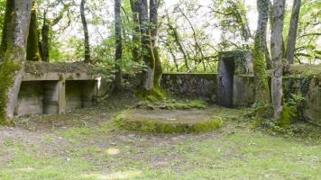Ligne Maginot - BUCHWALD - (Position d'artillerie préparée) - 