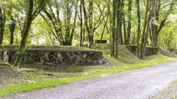 Ligne Maginot - BUCHWALD - (Position d'artillerie préparée) - 