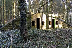 Ligne Maginot - FOND LOLIETTE - (PC) -  